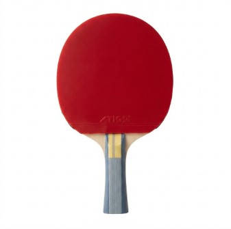 Masa Tenisi Raketi Hunter 4 Yıldız ITTF Onaylı